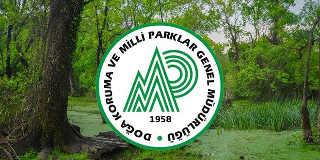 Doğa Koruma ve Milli Parklar Genel Müdürlüğü 240 personel alacak